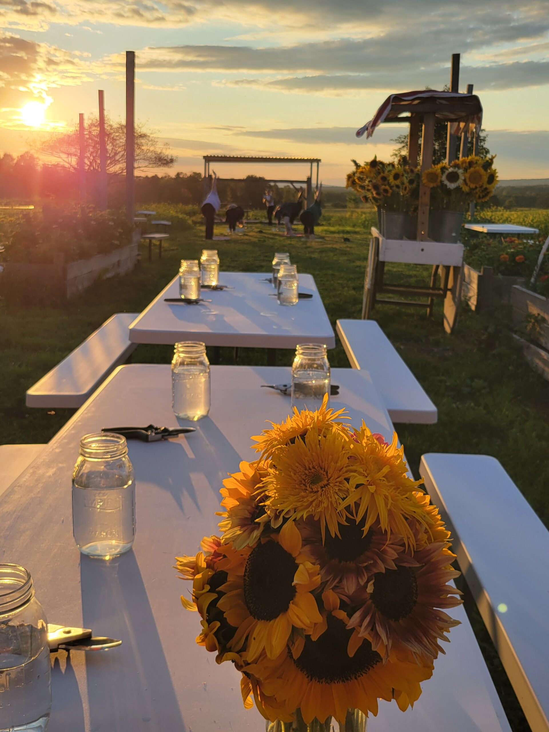 Simple Farms Remsen, NY